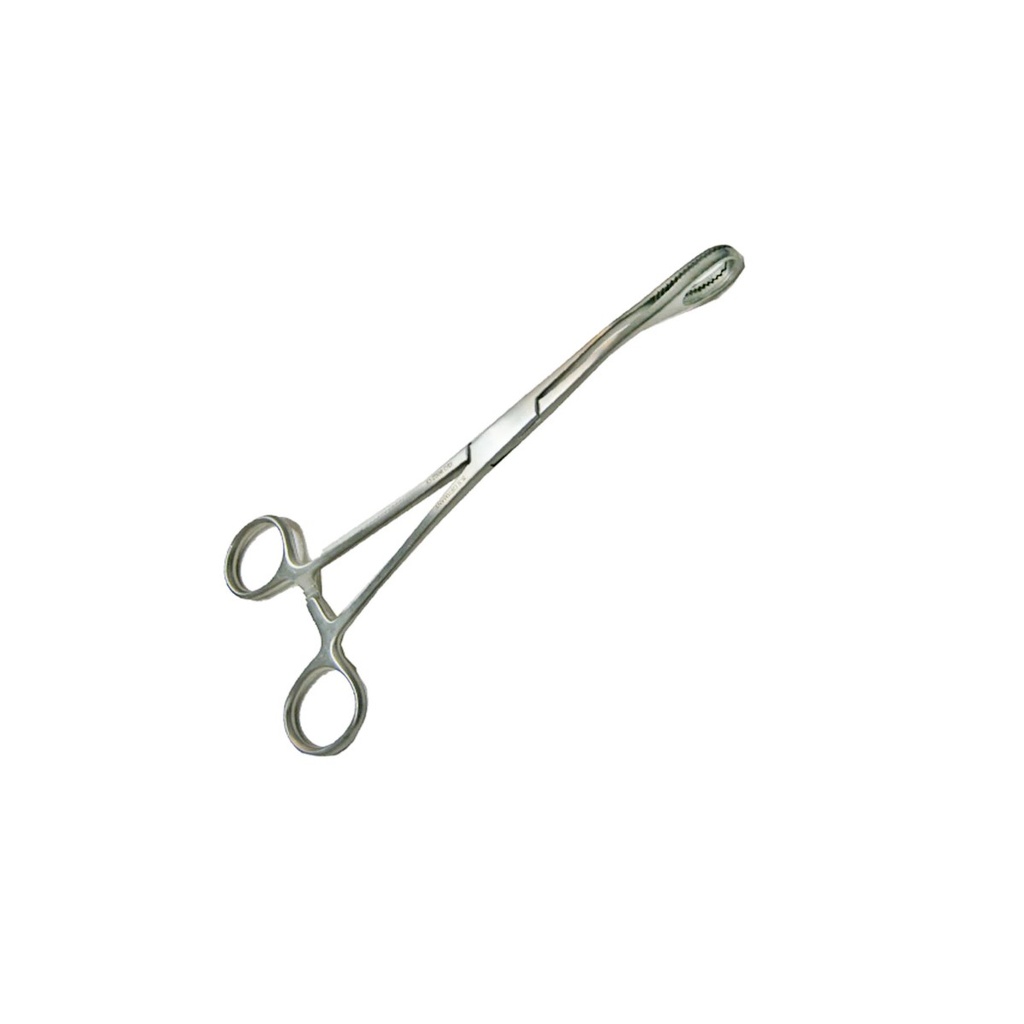 [020098] PINZA FORESTER CURVA PORTA ESPONJA 18 CM HP